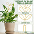 2 12 Inch 50 AUGSUN Pcs Gold Trellis Leaf Shape Metal Plant Support with Ties for Climbing Potted Plants Houseplant