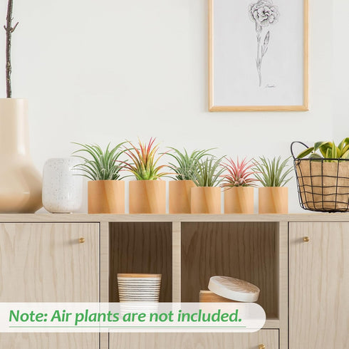 6 1.2" 1.4" Bigmeta Pcs Wood Air Plant Holder - & Rustic Style Airplant Display Stands for Women Gifts