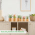 6 1.2" 1.4" Bigmeta Pcs Wood Air Plant Holder - & Rustic Style Airplant Display Stands for Women Gifts