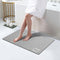 Diatomaceous Earth Bath Mat Rug, Super Absorbent Non Slip Quick Dry Bathroom Mat, 17"x27.5", Grey