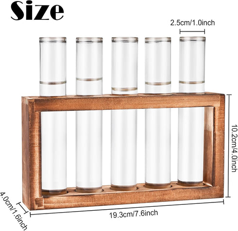 Tigvio 5 (5 Desktop Glass Plant Propagation Station with Test Tubes in Wooden Stand - Hydroponic Plants Cutting Office