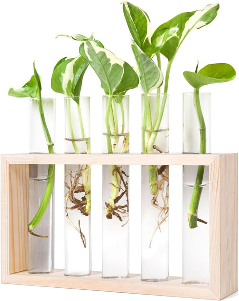 Mkono Wall Hanging Plant Propagation Station 5 Tubes with Wooden Stand Desktop