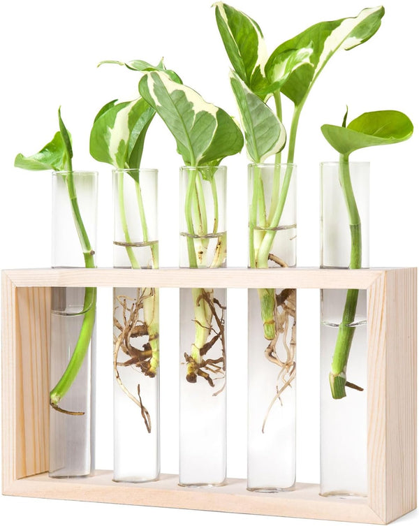 Mkono Wall Hanging Plant Propagation Station 5 Tubes with Wooden Stand Desktop