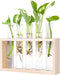 Mkono Wall Hanging Plant Propagation Station 5 Tubes with Wooden Stand Desktop