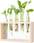 Mkono Wall Hanging Plant Propagation Station 5 Tubes with Wooden Stand Desktop