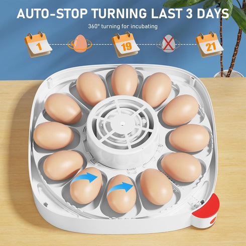 12 4 Sailnovo Incubators for Hatching Eggs Egg Incubator with Modes Temperature Control, Automatic Egg Turning