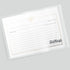 50 Gold Foil Bee Recipe Cards from Dashleigh, Double-Sided, 4x6 inches for Cooking and Baking
