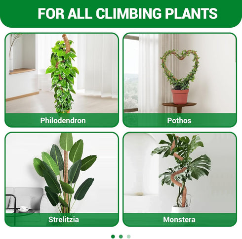 Qimshemi 51-Inch (1 Pack) Moss Pole Monstera Plant Support & Stakes for Climbing Plants, Bendable Moss Poles Kit