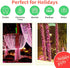 Super-Bright Extendable Pink Christmas Lights - 100 Lights 19.6ft Mini Bulb String Set for Outdoor Holiday Decor