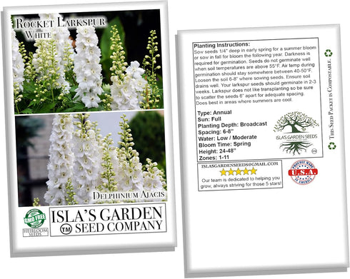 White Larkspur Rocket Flower Seeds for Planting, 250+ Seeds, Non-GMO Heirloom Seeds for Home Garden