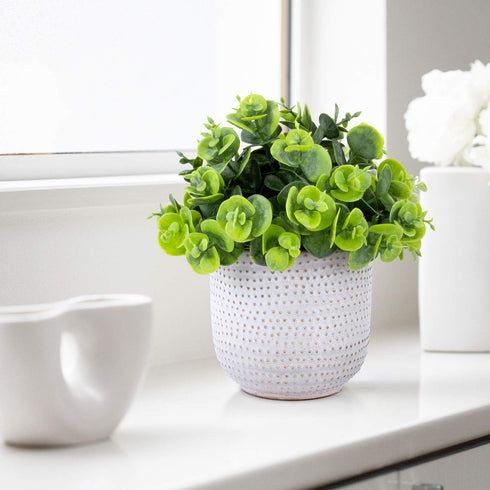 Artificial Lysimachia Plants in Ceramic Planter, Cute Fake Succulent Flowers for Home Office Table Desk Decor, Living
