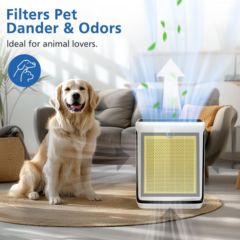 Vital 100S Pet Care Replacement Filter, 2 Pack, Compatible with LEVOIT Vital 100S Air Purifier (Yellow)
