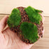 6Pcs Foam Moss Green Hay Stone: DIY Family Garden Decoration for Miniature Landscape