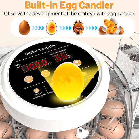 12 Egg Incubator for Hatching Eggs with Automatic Egg Turning, Temperature & Humidity Control Display, Built-in LED Egg