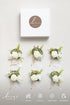 Ling's Moment 6pcs Boutonniere for Men, Artificial Flowers for Wedding Decor, White Baby Breath Ivory
