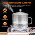 DOITOOL 1.5L Glass Saucepan with Cover, Heat-Resistant Glass Cookware Set, Small Simmer Pot for Baby Food, Pasta, Soup