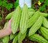Generic 25 Organic Bitter Melon Seeds for Planting Non-GMO Bitter Gourd Kh Qua