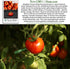 500+ Marglobe Tomato Seeds (Solanum lycopersicum) Non-GMO & Heirloom Seeds by Islas Garden Seeds, Classic Red Variety