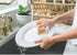 HIC Harold Import Co. Kitchen Dish Pan Scrub Brush, Natural Bristle, Non-Scratch Tampico Bristles, Wooden Handle