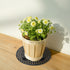 moonoom 8 12 Inch Pcs Plants Pot Elevator, Plastic Flower Plant Stands, Portable Patio Planter Holder for Indoor