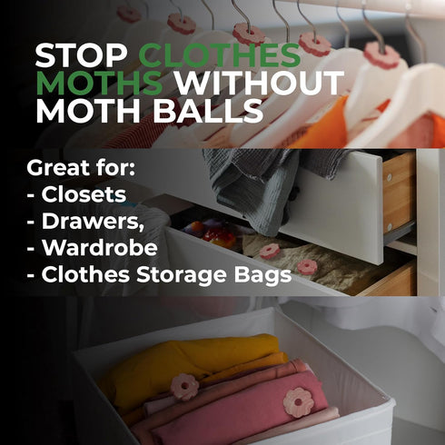 Cedar Rings for Clothes Storage – 30 Fresh Cedar Rings to Protect Your Clothes from Damage