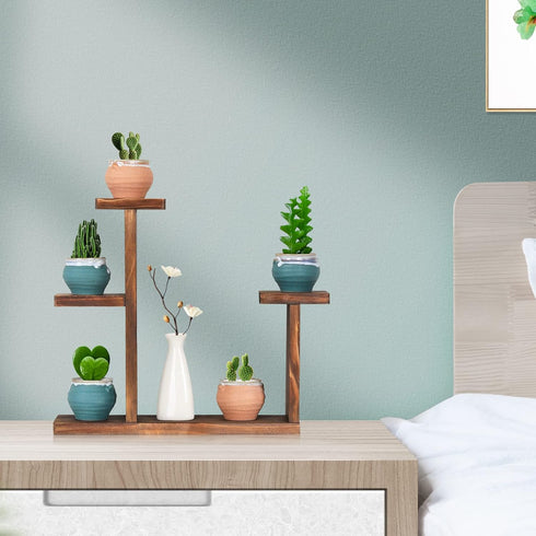 Wooden Tabletop Plant Stand, 5 Tier Succulent Plant Holder, Decorative Planter Holder for Living Room Home Office
