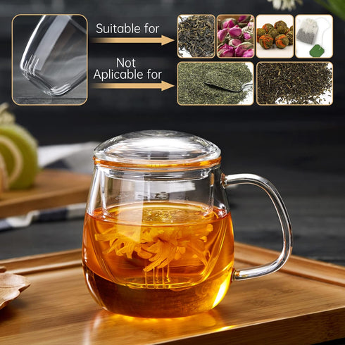 17.6oz/520ml DOPUDO Glass Tea Cup with Infuser and Lid, Large Borosilicate Teacup,Tea Glass, Clear Mug for Loose Leaf
