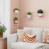 5x5 Inches Set 4, Fixwal Pink Shelves, Small Wall Shelf of Rustic Wood Floating Wall Mounted Shelves for Bedroom
