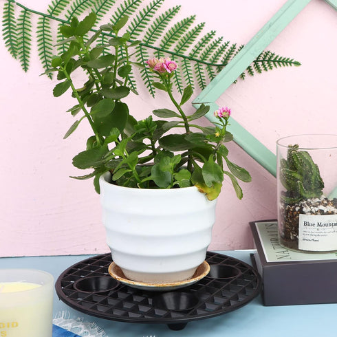 OBANGONG 6 8 Inch Pcs Plant Level Pot Elevator Heavy Duty Plant Stands Plant Risers for Pots Indoor Outdoor Level Pot