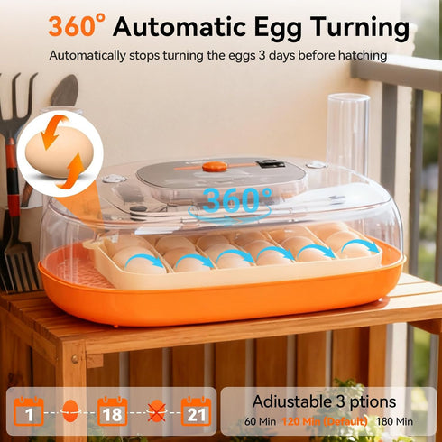 24 360Viewing Incubators for Hatching Eggs, Egg Incubator, Automatic Egg Turner with Humidity Control & Digital