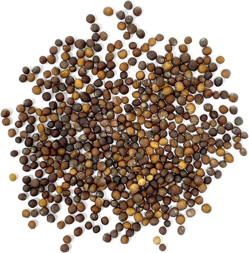 Purely Organic Products LLC 500 Organic Kale Seeds (Vates Blue Scotch Curled) - Approx Seeds - USDA Organic, Non-GMO