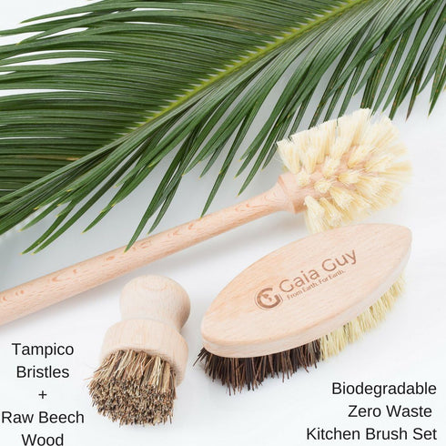 Wood and Tampico Bottle Brush Set, Pot Brush, Vegetable Brush - Zero Waste, Compostable & Biodegradable
