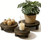 ORBEIN 6"/8"/10" 3pcs Unfinished Rustic Wood Stands - Wooden Round Riser - Plant