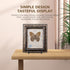 Plate Holder Easel Display Stand - 4.5 inch Metal Plate Stands for Display, Black Iron Easels for Pictures, Photo