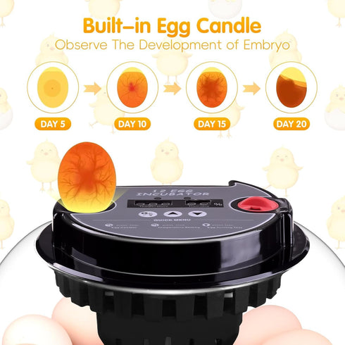 Xiejiutianxrg 12-24 Display,360 (M12H) Egg incubators for Hatching Eggs, Automatic Egg Turning Poultry Incubator