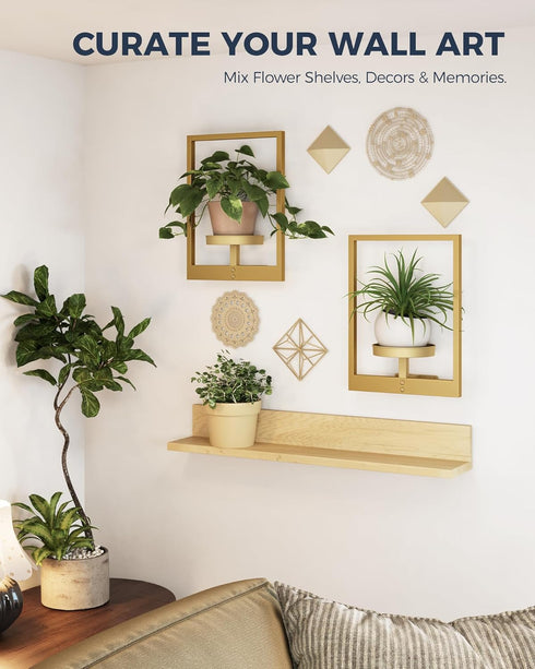 Bamworld Gold Plant Stand Indoor, Plant Hanger Wall Planters for Indoor Plants Window Plant Shelves Plant Holder Wall