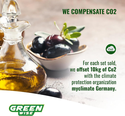 GREEN WISE Oil Sprayer for Olive & Vine Oil, Continuous Spray Bottle for Cooking, Salad Dressing