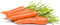 2,000 Little Fingers Carrot Seeds - Heirloom Non-GMO USA Grown - Grows