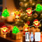 Christmas Mini String Lights,16 FT 30 LED USB Plug in Powered and