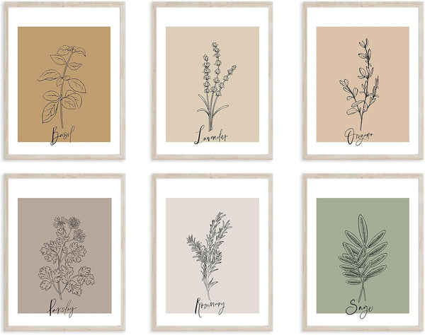 Aroutde Vintage Botanical Herb Prints Wall Decor Set of 6, Kitchen Herbs Plants