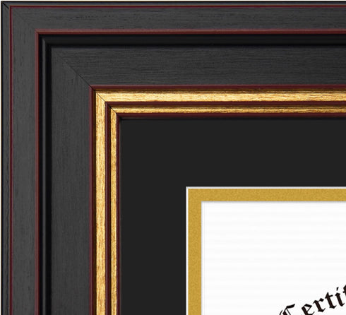 Golden State Art 8x10 Document Frame for 6x8 Diploma/Certificate/Picture, Black Gold & Burgundy, Real Glass