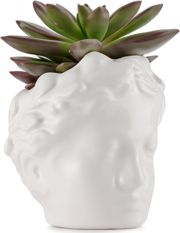 White Ceramic Face Planter Pots for Succulents - Unique Indoor Plant Planters with Drainage