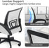 Polias 330Lbs, Ergonomic Office Chair - Breathable Mesh Computer Desk Chair with Lumbar Support & Armrest, Rolling