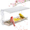 Window Bird Feeder for Outdoors, Clear Bird Feeders Mounted with Strong Suction Cups for Wild Bird Watching in Garden