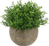 Ogrmar 4PCS Mini Plastic Artificial Plants in Pot - Small Faux Greenery for Bathroom & House Decorations
