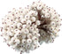 Tatuo 400 Pieces Artificial Frosted Holly Berries, Fake 12 mm Mini Fruit Berry Flower Fall Decor (White)