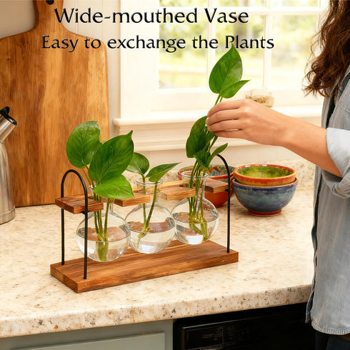 Wellinc Bulbs, Plant Terrarium with Wooden Stand, The Ultimate Gift for Plant Lovers, Propagation Station with Retro