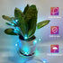 WS2812B 16.4FT 50LEDs DC5V/2A 1PC Fairy String Lights Addressable Individually RGB IC, PVC Wire for Twinkle Home Garden