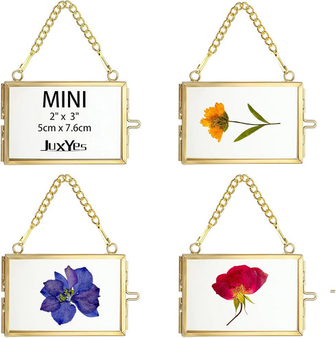 JUXYES Mini Brass Wall Hanging Photo Frame Set of 4, Double Glass Floating Frame for Artwork, Picture, Pressed Flower,