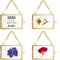 JUXYES Mini Brass Wall Hanging Photo Frame Set of 4, Double Glass Floating Frame for Artwork, Picture, Pressed Flower,